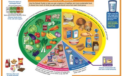 Modern Diet and Lifestyle Diseases