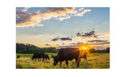 Agriculture and Climate